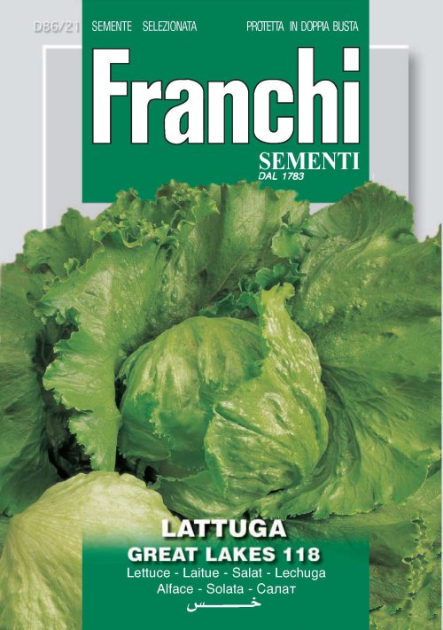 Lettuce/Escarole/Endive